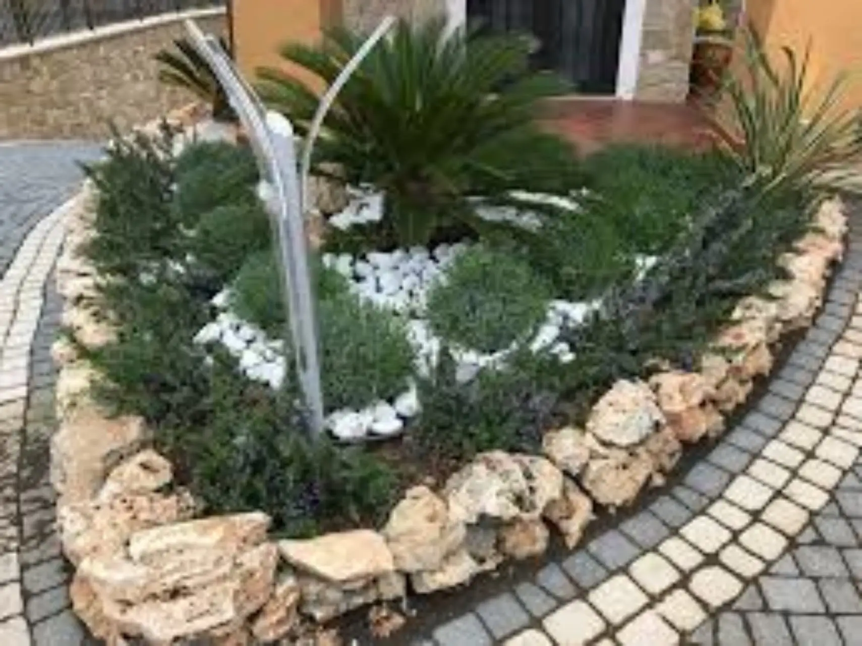 Immagine selezionata